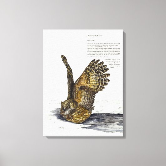 Handverf Bedreigde Uil Print Canvas (Voorkant)