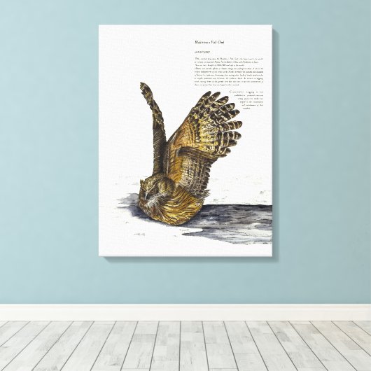Handverf Bedreigde Uil Print Canvas (Insitu (Houten vloer))