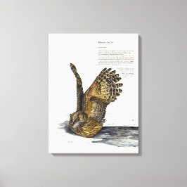 Handverf Bedreigde Uil Print Canvas