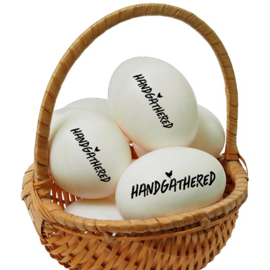 Handverzamelde Hen Schattigee Illustratie Zwarte T Rubberstempel