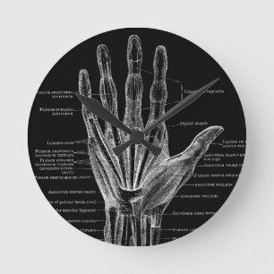 Handvingers  anatomie ronde klok