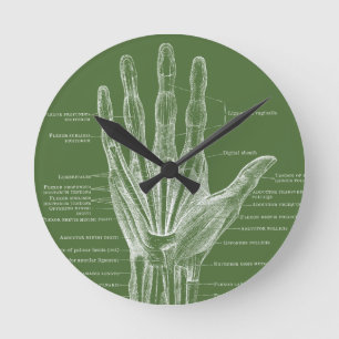 Handvingers  anatomie ronde klok