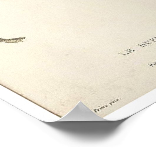  handvogelplukker, Poster (Hoek)