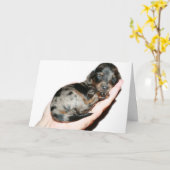 Handvol Kaart (Gele Bloem)