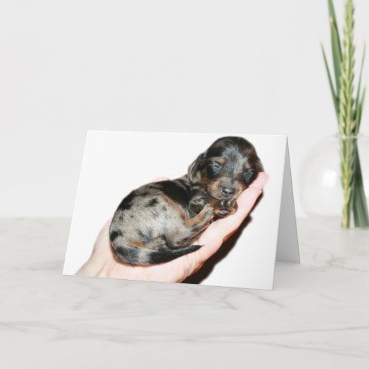 Handvol Kaart (Voorkant)