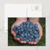 handvol verse bosbessen briefkaart (Voorkant / Achterkant)