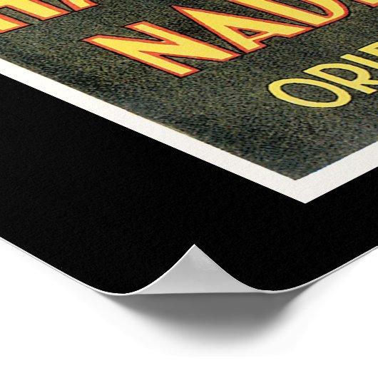 Handy Bandy & Nadia Nadyr Magic Act Poster (Hoek)