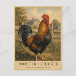 Hane Boerderij VINTAGE Briefkaart
