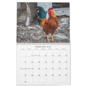 Hanen Natuur Boerderijdieren Vogels Kalender (Feb 2027)