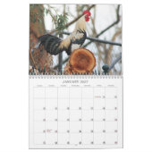 Hanen Natuur Boerderijdieren Vogels Kalender (Jan 2027)
