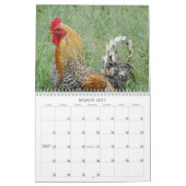 Hanen Natuur Boerderijdieren Vogels Kalender (Mar 2027)