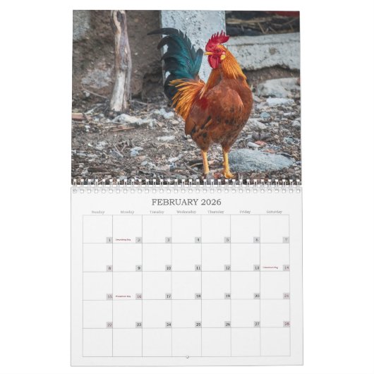 Hanen Natuur Boerderijdieren Vogels Kalender (Feb 2026)