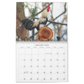 Hanen Natuur Boerderijdieren Vogels Kalender (Jan 2026)