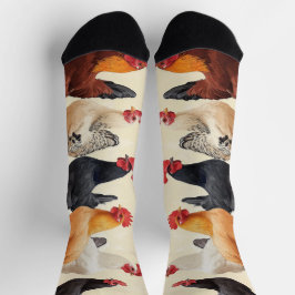 Hanen op een rij sokken