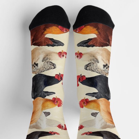 Hanen op een rij sokken (Top)