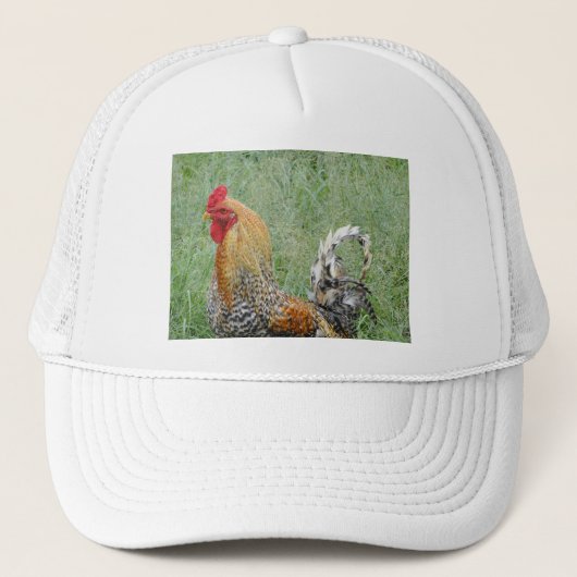 Hanen Trucker Pet (Voorkant)
