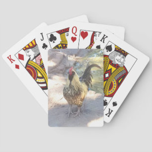 Hanenkaarten Pokerkaarten
