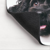 hanenpoodle mix puppy mousepad muismat (Hoek)