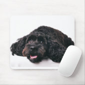 hanenpoodle mix puppy mousepad muismat (Met muis)