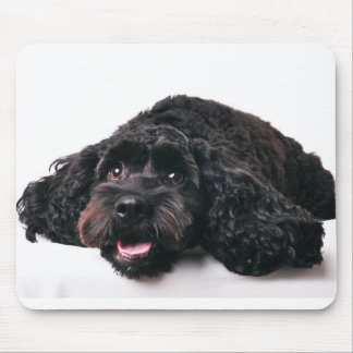 hanenpoodle mix puppy mousepad muismat