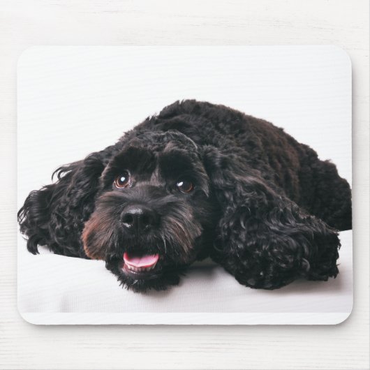 hanenpoodle mix puppy mousepad muismat (Voorkant)