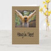 Hang bij daar de Aap van de Gibbon met Kaart (Gele Bloem)