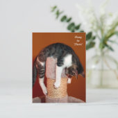 Hang daar de Humoureus Tabby Cat Post Card Briefkaart (Staand voorkant)