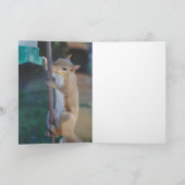 Hang daar, eekhoorn die aan vogelvoeder hangt kaart (Binnen)