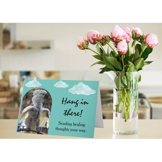 Hang daar gevederde vriend krijgen goed kaart