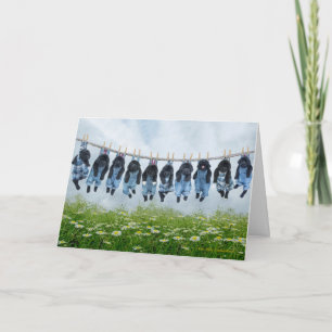 Hang daar het wenskaart op kaart