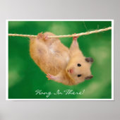 Hang daar in Hamster Poster (Voorkant)