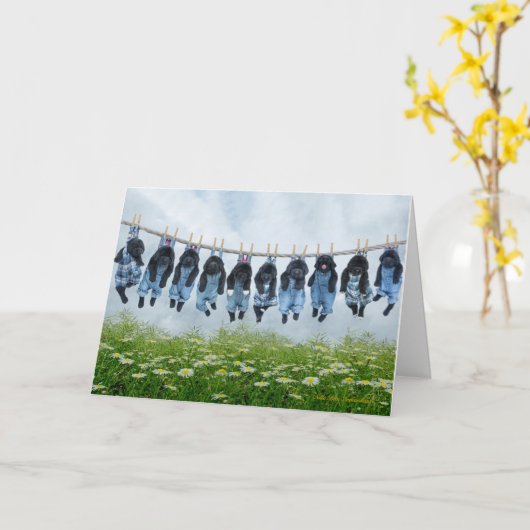 Hang daar in het puppy wenskaart kaart (Gele Bloem)