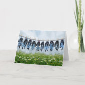 Hang daar in het puppy wenskaart kaart (Voorkant)