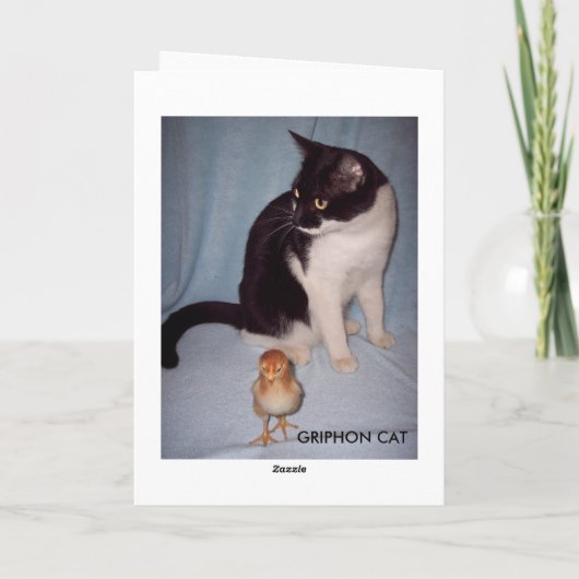 HANG DAAR IN! KAART (Achterkant)