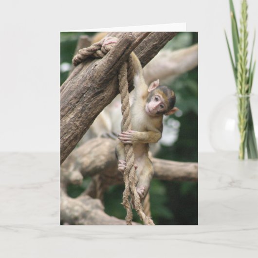 Hang daar in kaart (Voorkant)