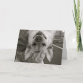 Hang daar in kaart (Voorkant)