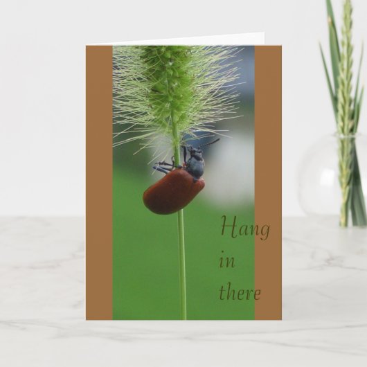 Hang daar in kaart (Voorkant)