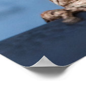 Hang daar in Kikker Poster (Hoek)