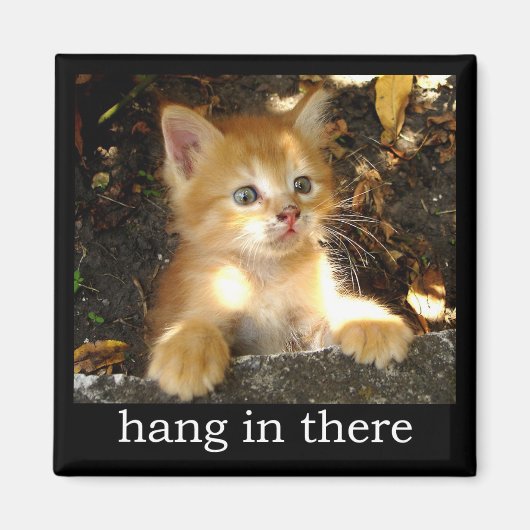 Hang daar in - Kitten Magnet (Voorkant)