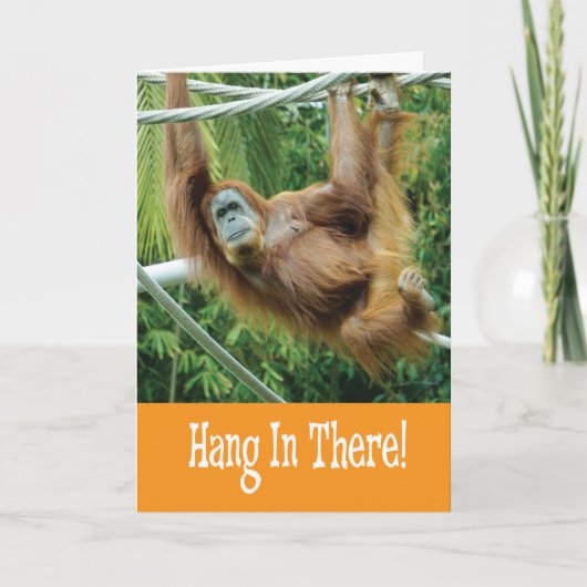 Hang daar in met een grappige Orangutan in de boom Kaart (Voorkant)