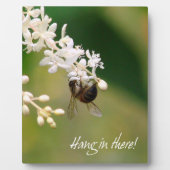 "Hang daar in" Motivatie Plaque Fotoplaat (Voorkant)