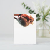 Hang daar in Rat Briefkaart (Staand voorkant)