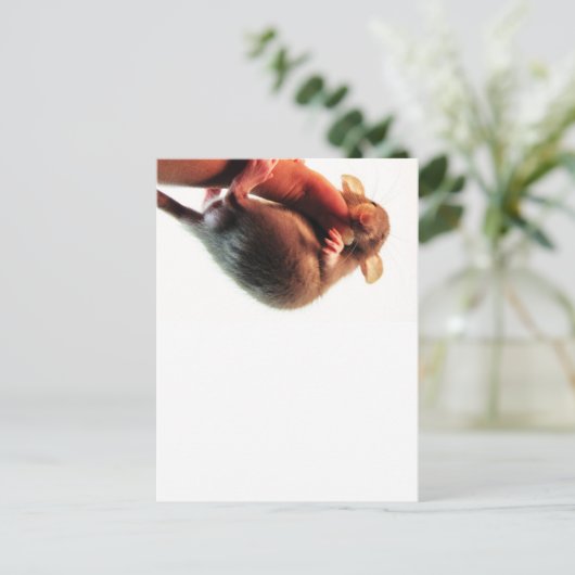 Hang daar in Rat Briefkaart (Staand voorkant)