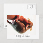 Hang daar in Rat Briefkaart (Voorkant / Achterkant)