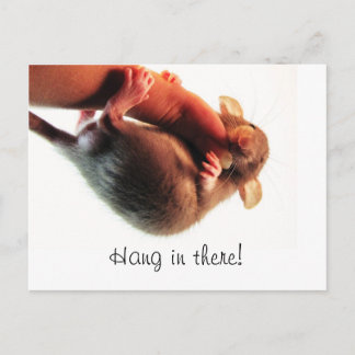 Hang daar in Rat Briefkaart