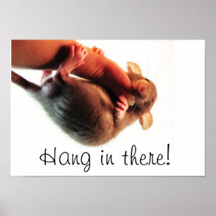 Hang daar in Rat Poster