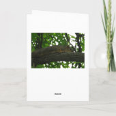 Hang daar, word binnen goed Kaart, Leuke Eekhoorn Kaart (Achterkant)