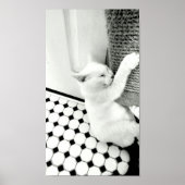 Hang daar zwart en wit Poster (Voorkant)