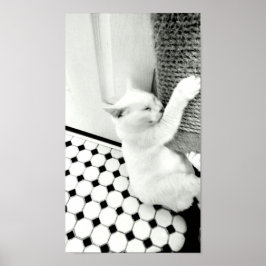 Hang daar zwart en wit Poster