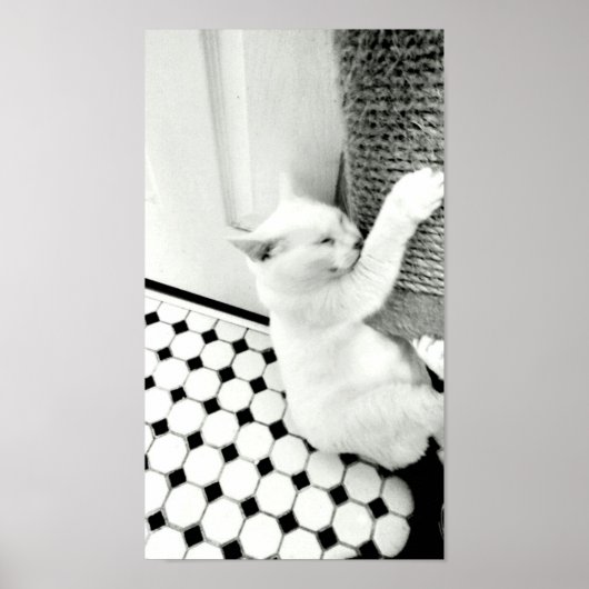 Hang daar zwart en wit Poster (Voorkant)